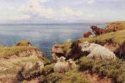 unknow artist Sheep 164 oil painting picture wholesale